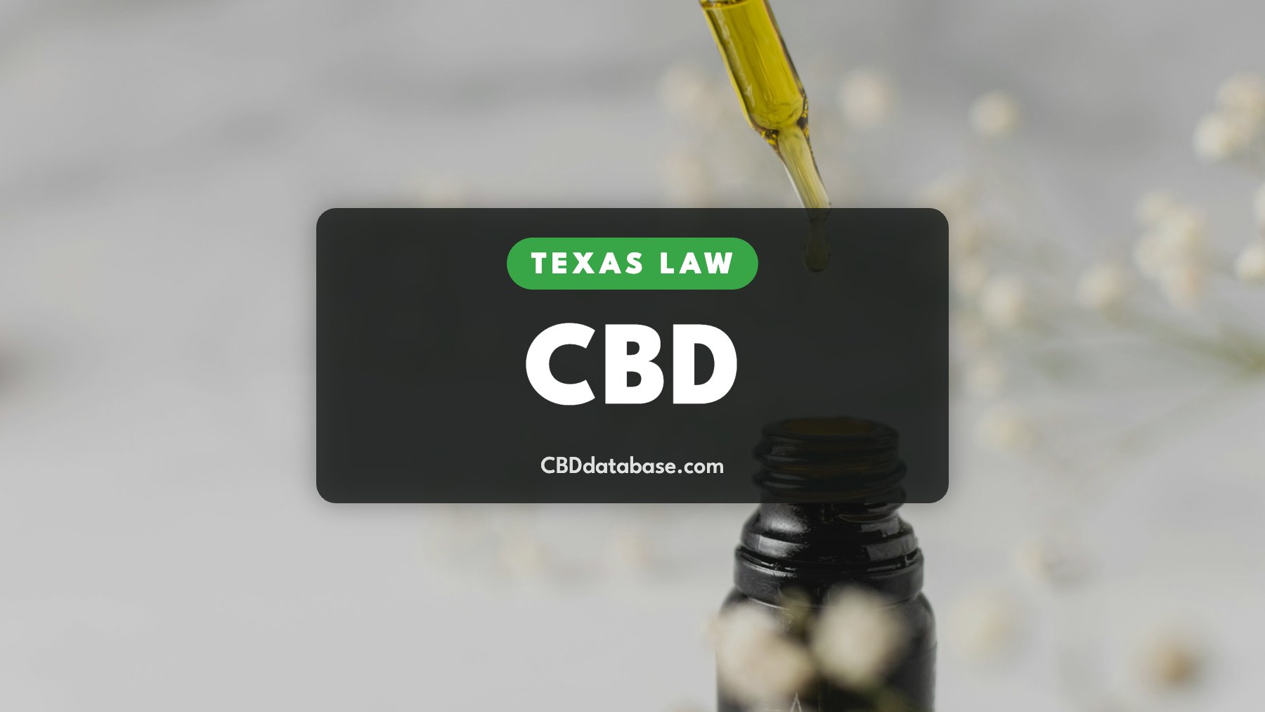 Texas Law: CBD, dropper of CBD oil above an amber bottle