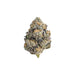 Destino Farms Indoor Exotic THCA Flower 3.5g Purple Churro