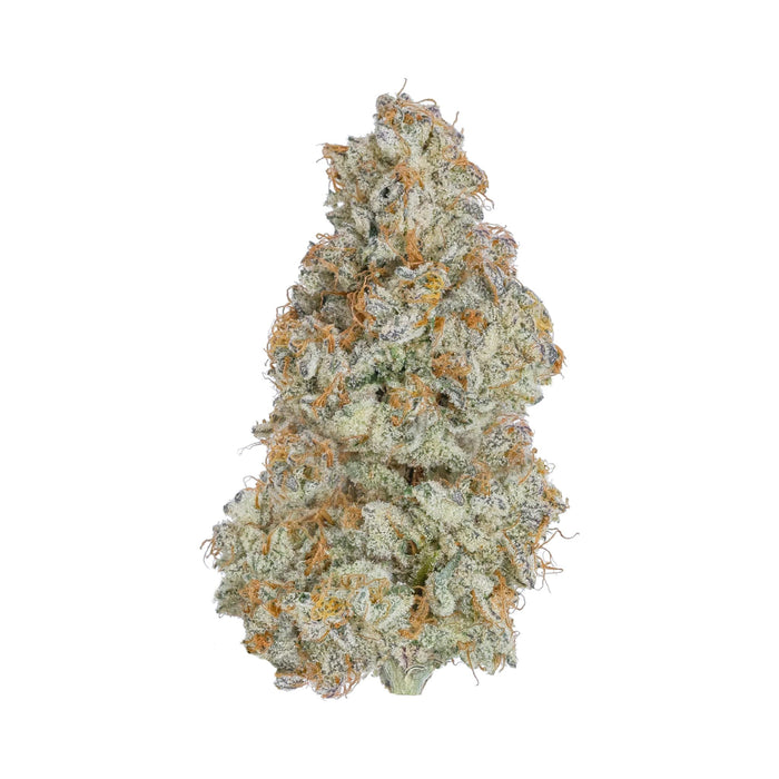 Destino Farms Sungrown THCA Flower 3.5g Cereal Milk