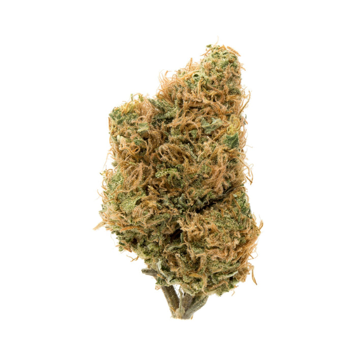 Destino Farms Sungrown THCA Flower 3.5g Golden Goat