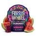 Ferris Wheel Kanna Daily Mood Gummies Watermelon 10 count | CBDdatabase.com