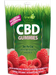 Irwin Naturals CBD Gummies, Raspberry Ripple 30mg (30 Count) | CBDdatabase.com