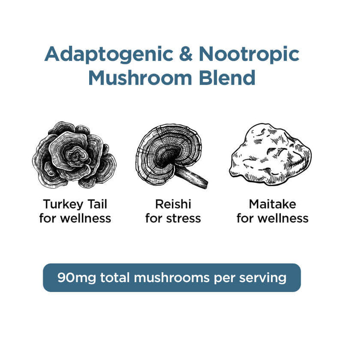 CBDfx Relax Blend Mushroom Tincture + CBN + CBD (1000mg, 2000mg & 4000mg)