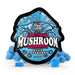 TRĒ House Blue Raspberry Extra-Strength Mushroom Gummies (10 Count)