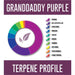 Pinnacle Hemp - CBD Device - Granddaddy Purple Disposable Vape Pen - 150mg