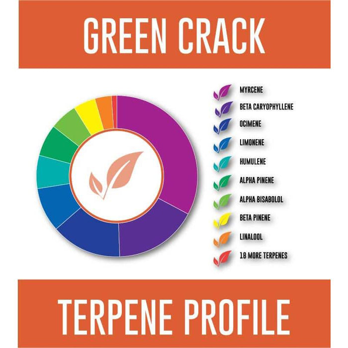 Pinnacle Hemp - CBD Cartridge - Green Crack Ki Pod - 300mg-600mg - Terpene Profile