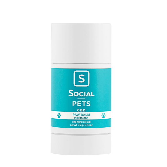 Social - CBD Pet Topical - Paw Balm - 200mg