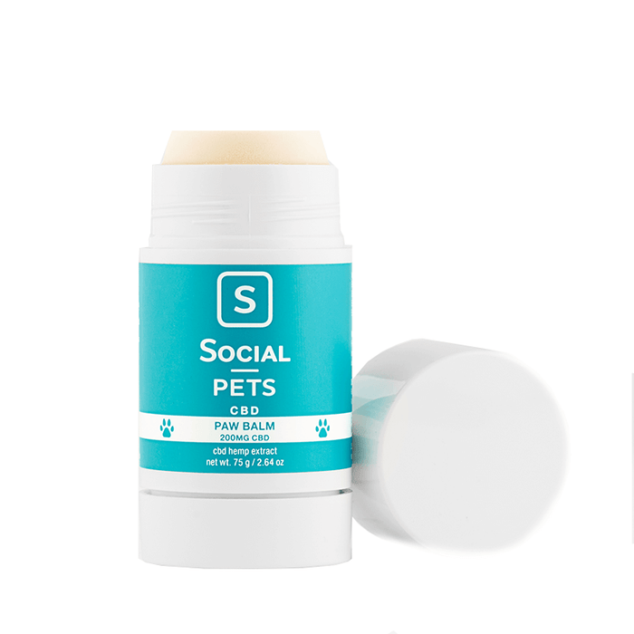 Social - CBD Pet Topical - Paw Balm - 200mg